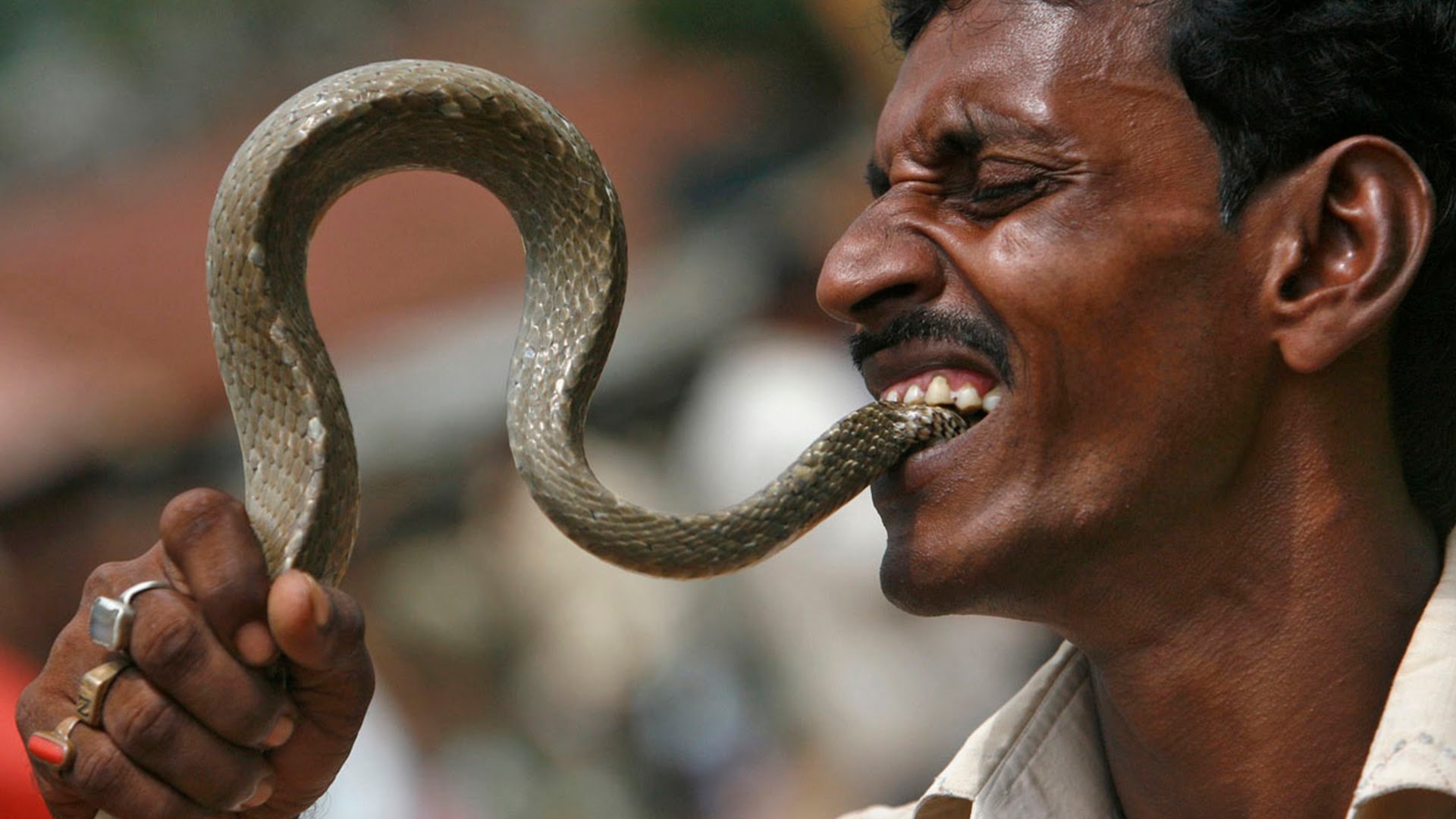 мужчина кушает змею