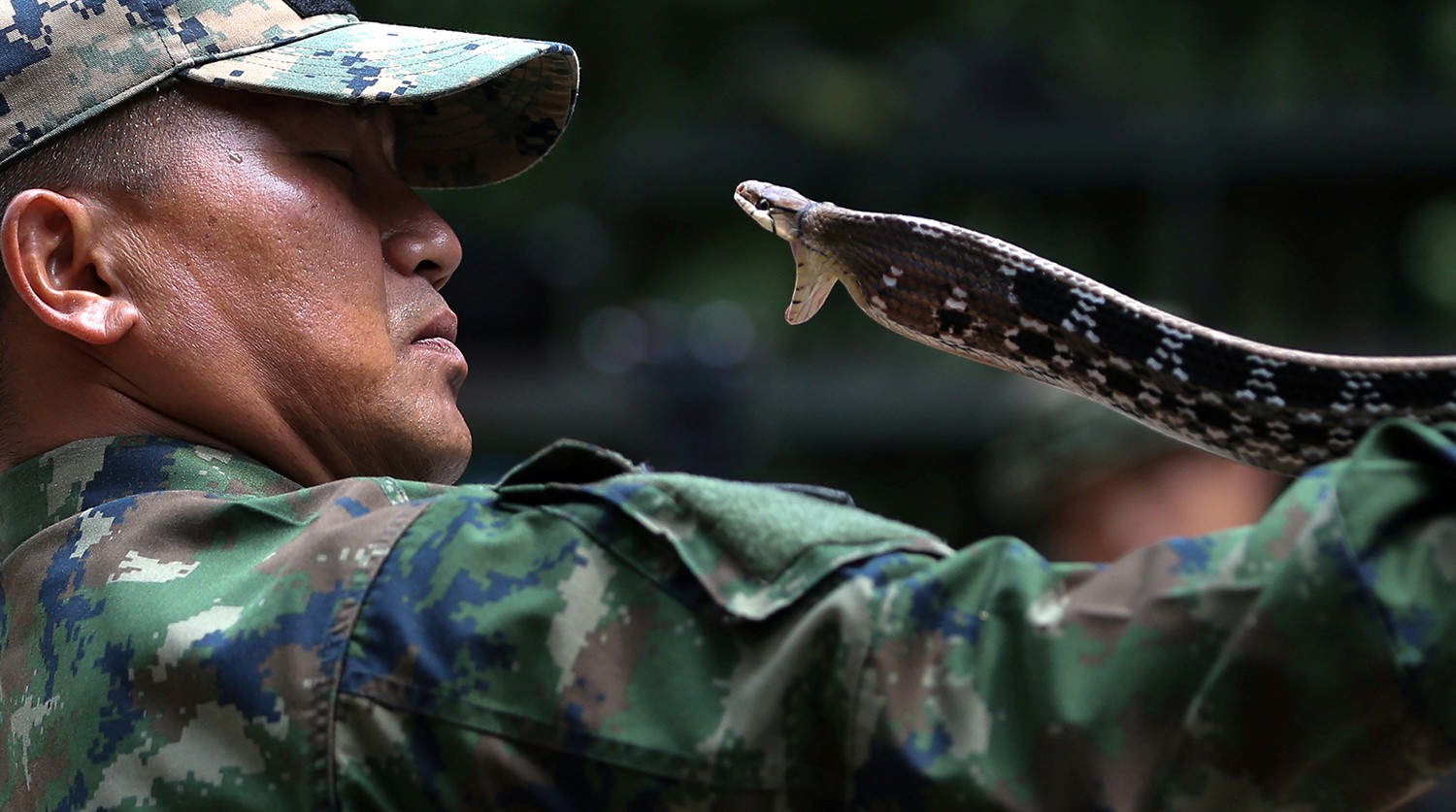 мужчина в черном костюме и злая змея