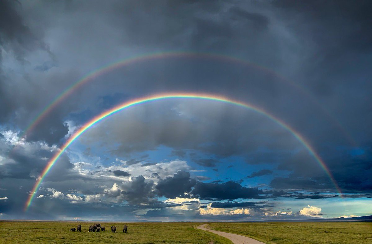над полем две радуги