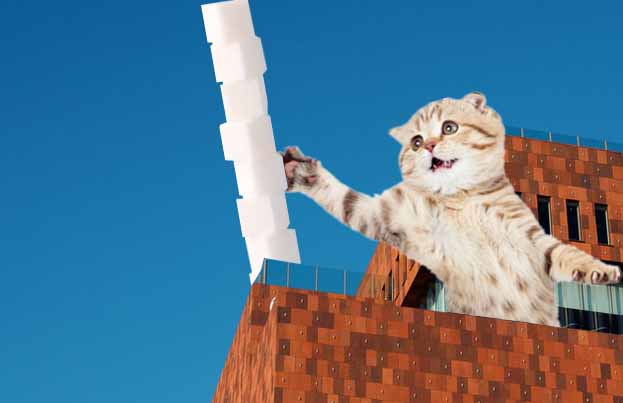 новая архитектура