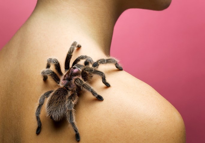 Паук на теле девушки