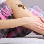 правая нога8