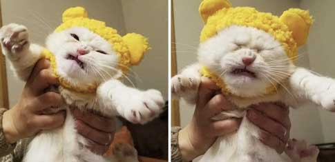 прикусил губу11