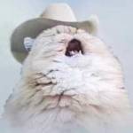 прикусил губу 2