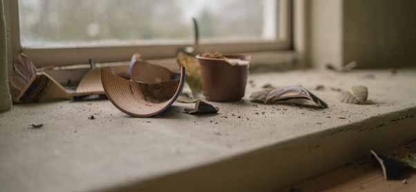 разбитая тарелка 7