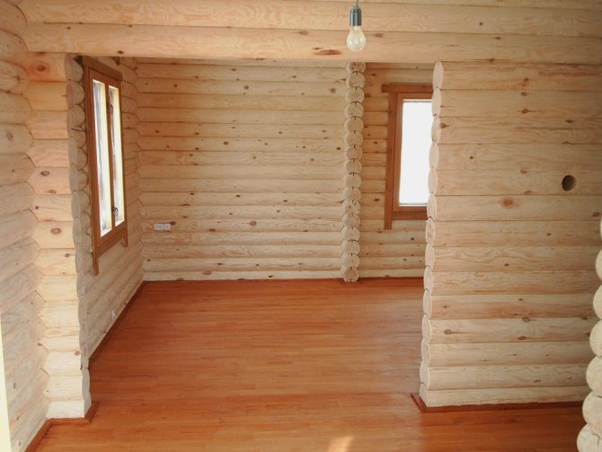 Роскошные деревянные интерьер часто привлекают мух и других насекомых