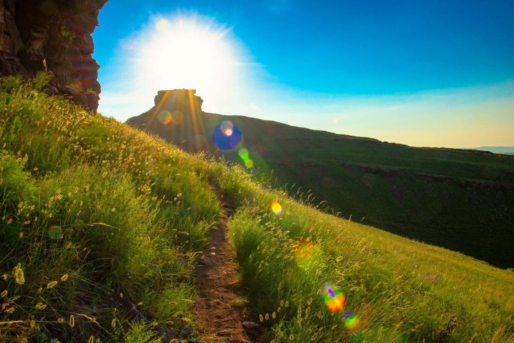 солнце летом