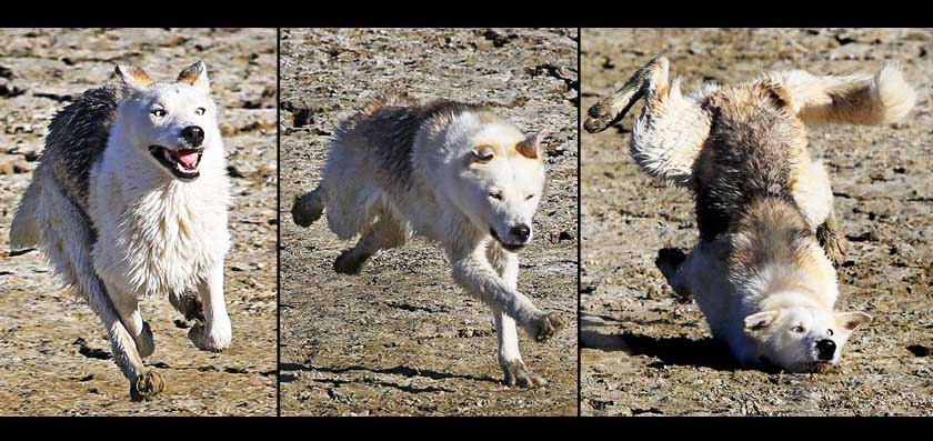 спотыкашка13