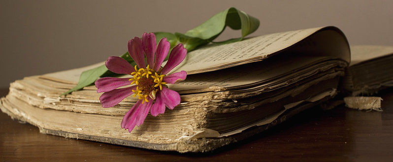 старый сонник