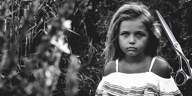 стригут в лесу