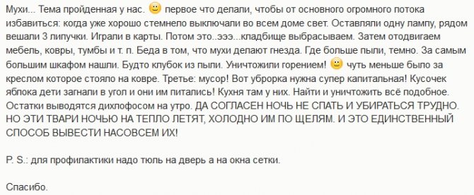 Так можно победить всех мух в деревянном доме