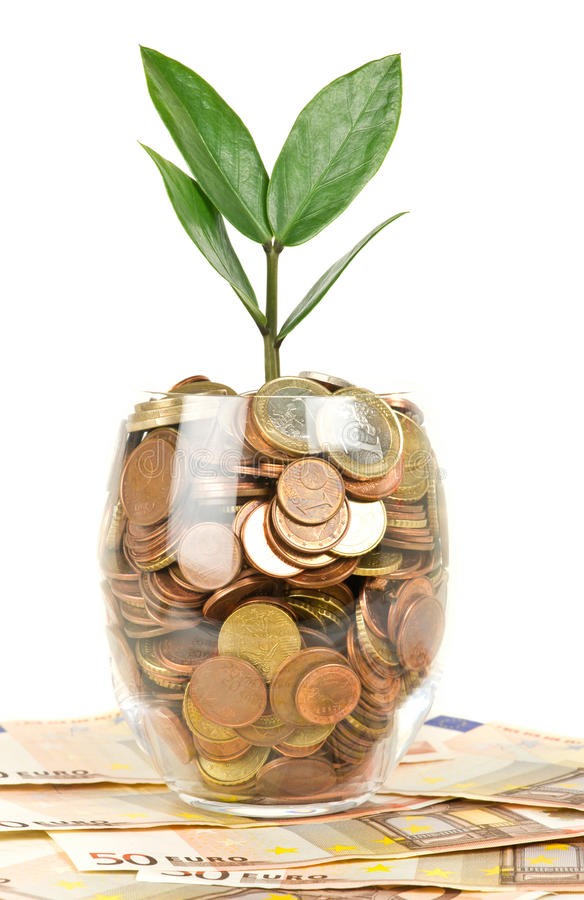 цветок стоит в деньгах