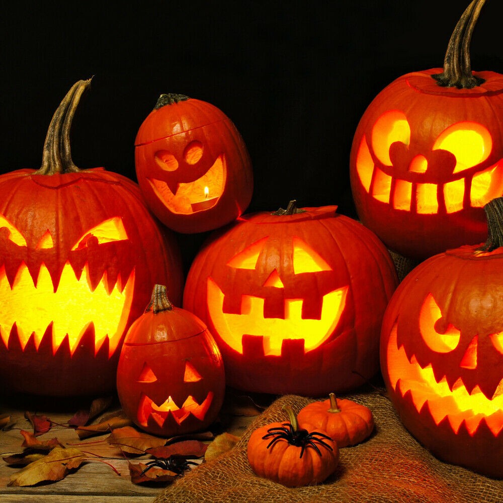 тыква на праздник