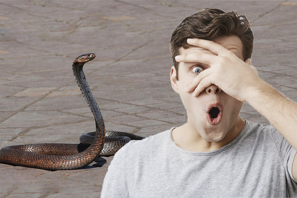 удивленный парень при виде змеи