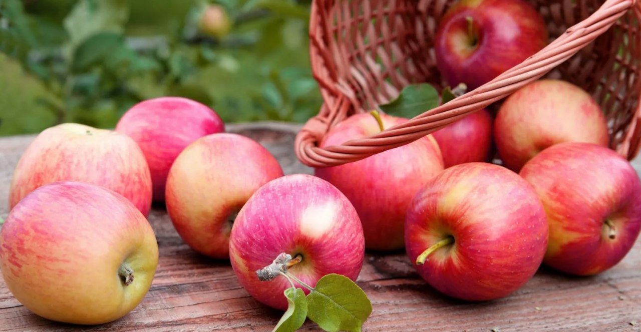 яблоки на столе