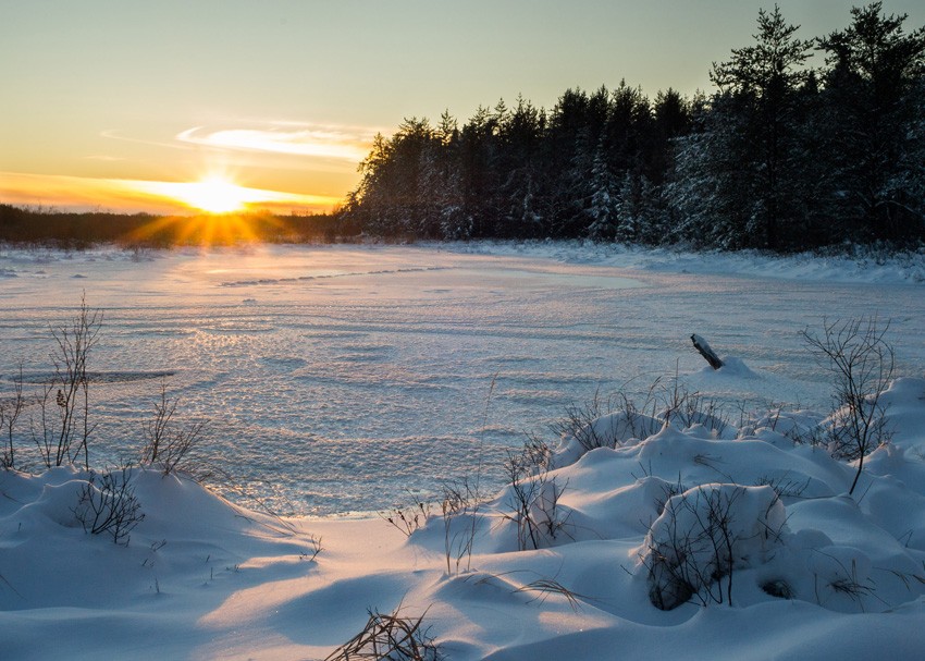 ясный зимний день