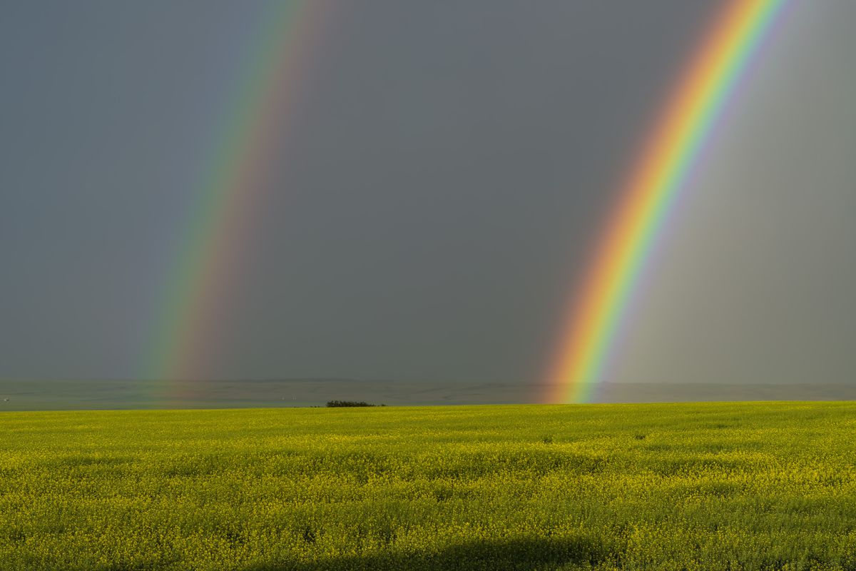 закат над полем после дождя