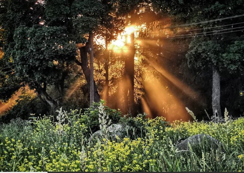 закат солнца летом