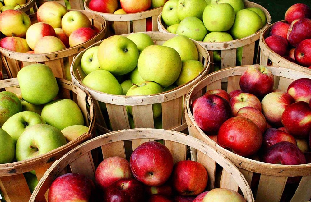 зеленые и красные яблоки