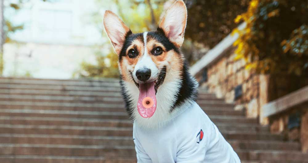 прыщ на языке 5