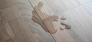 Небольшая лужа