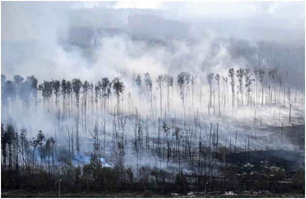 Дымовые завесы