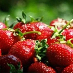 Клубника напичканная нитратами