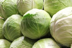 Крупные кочаны