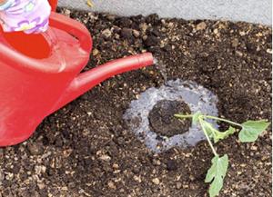 Лить воду из лейки