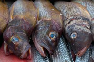 Рыба на прилавке