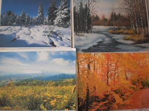 Времена года