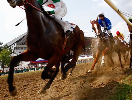 Спортивные скачки