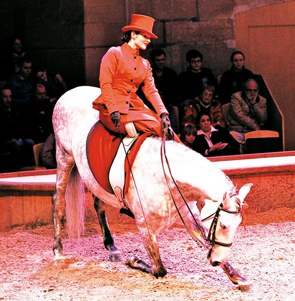 Наездница в цирке