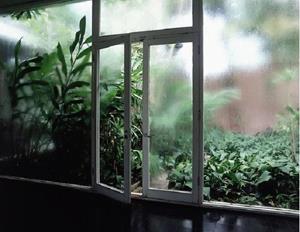 Запотевшее окно