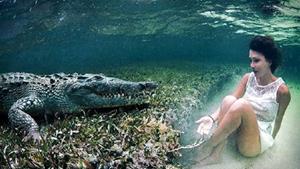 Крокодил нападает во сне