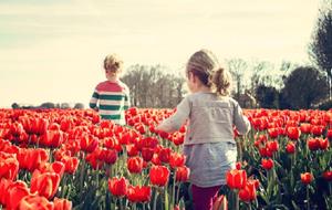 Теряете дочь