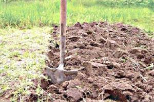 Мягкая земля