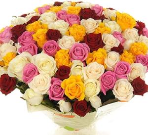 Розы разных цветов