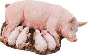 Свинья с поросятами