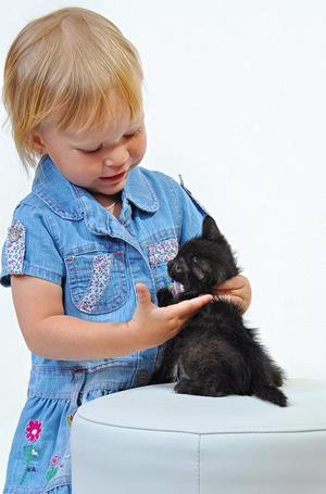 Детские чувства