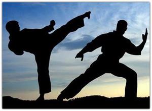 Боевые искусства