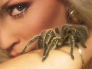 Паук у женщины на руке