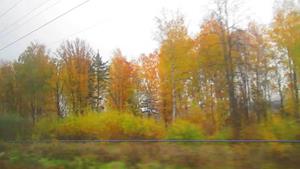 Осень за окном поезда