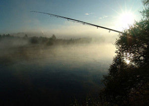 Прохладный солнечный день на озере