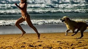 Убегать от собаки