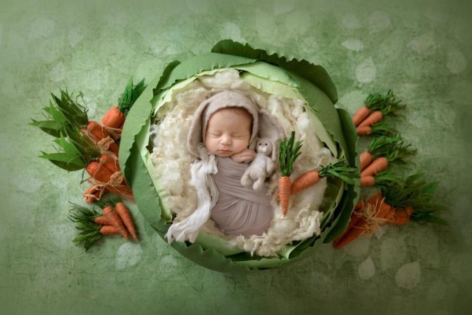 Большая капуста из гофрированной бумаги для фотосессии