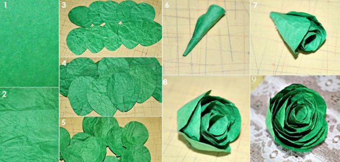 Капуста из гофрированной бумаги своими руками