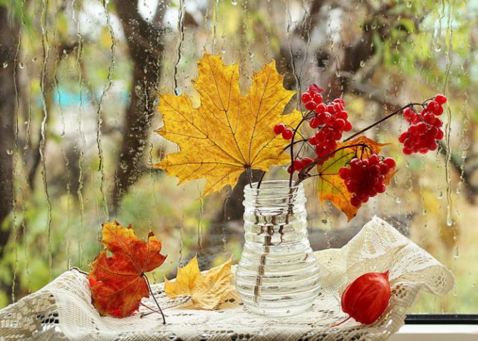 Лаконичный осенний букет