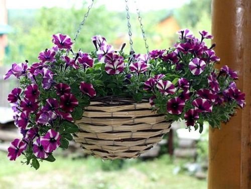 Подвесное кашпо для цветов
