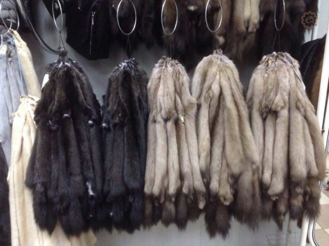 Тщательно выбирайте шкурку для оторочки шапки